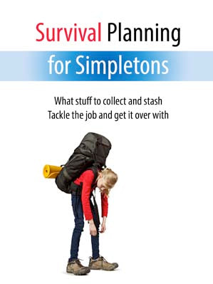 Survival Planning for Simpletons